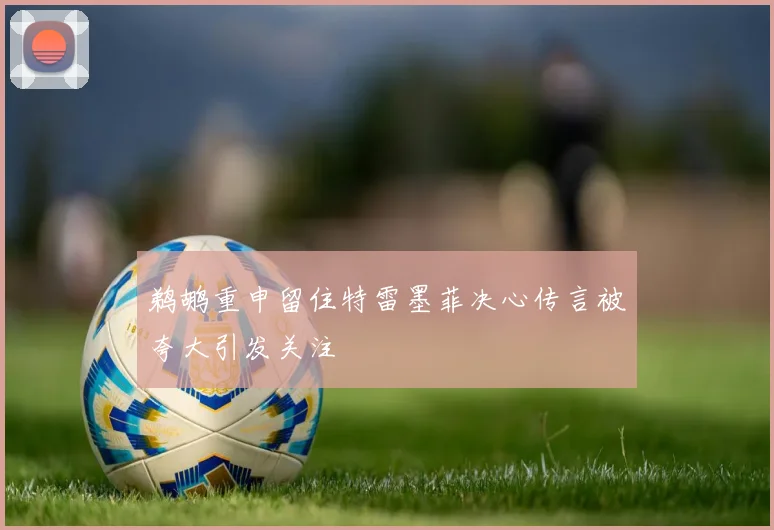 鹈鹕重申留住特雷墨菲决心传言被夸大引发关注