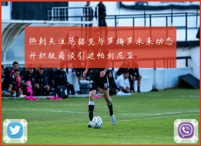 热刺关注范赫克与罗梅罗未来动态并积极商谈引进帕利尼亚